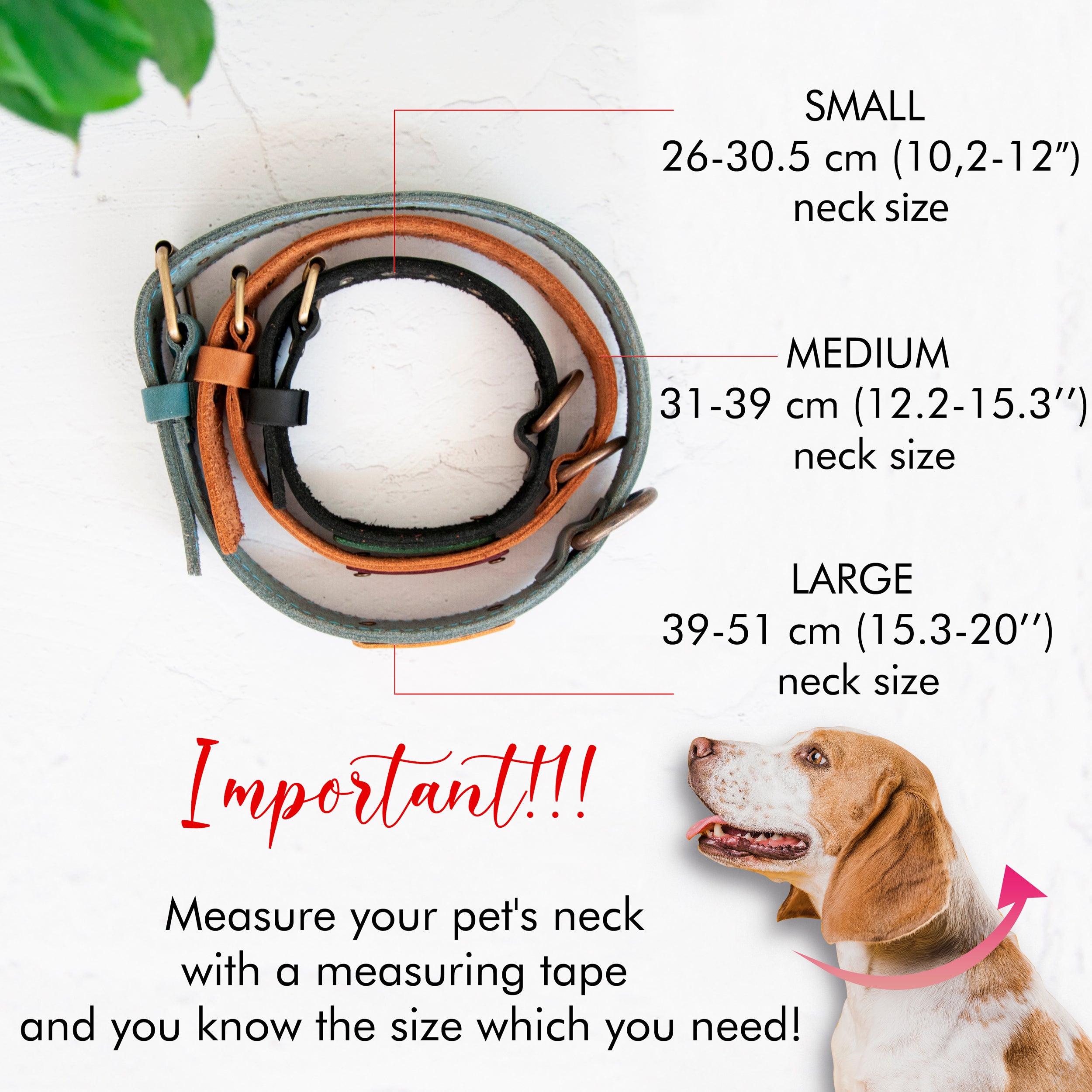 Leather Pet Collar with Name Engraving