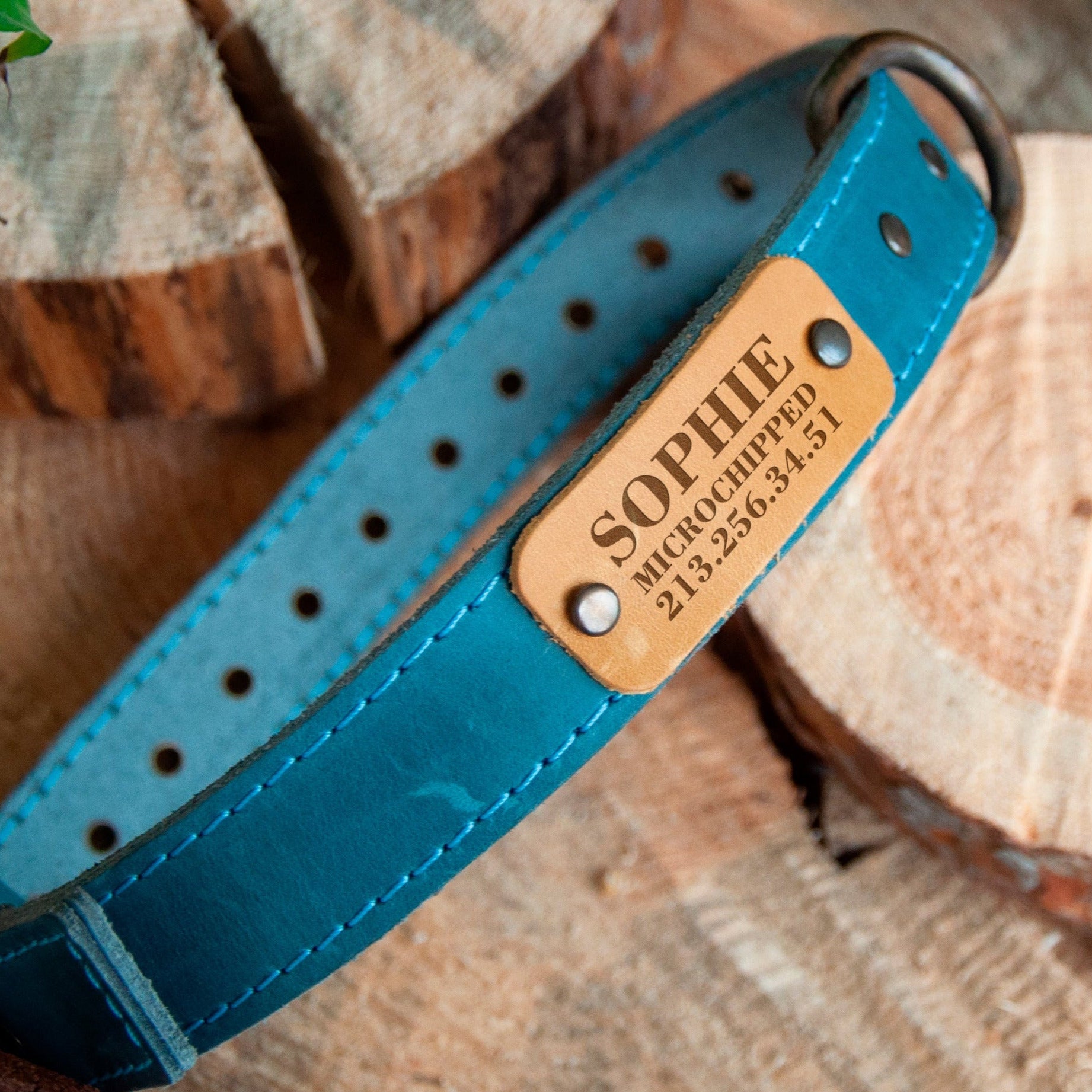 Leather Pet Collar with Name Engraving