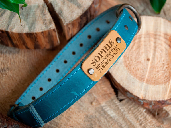 Leather Pet Collar  with Name Engraving