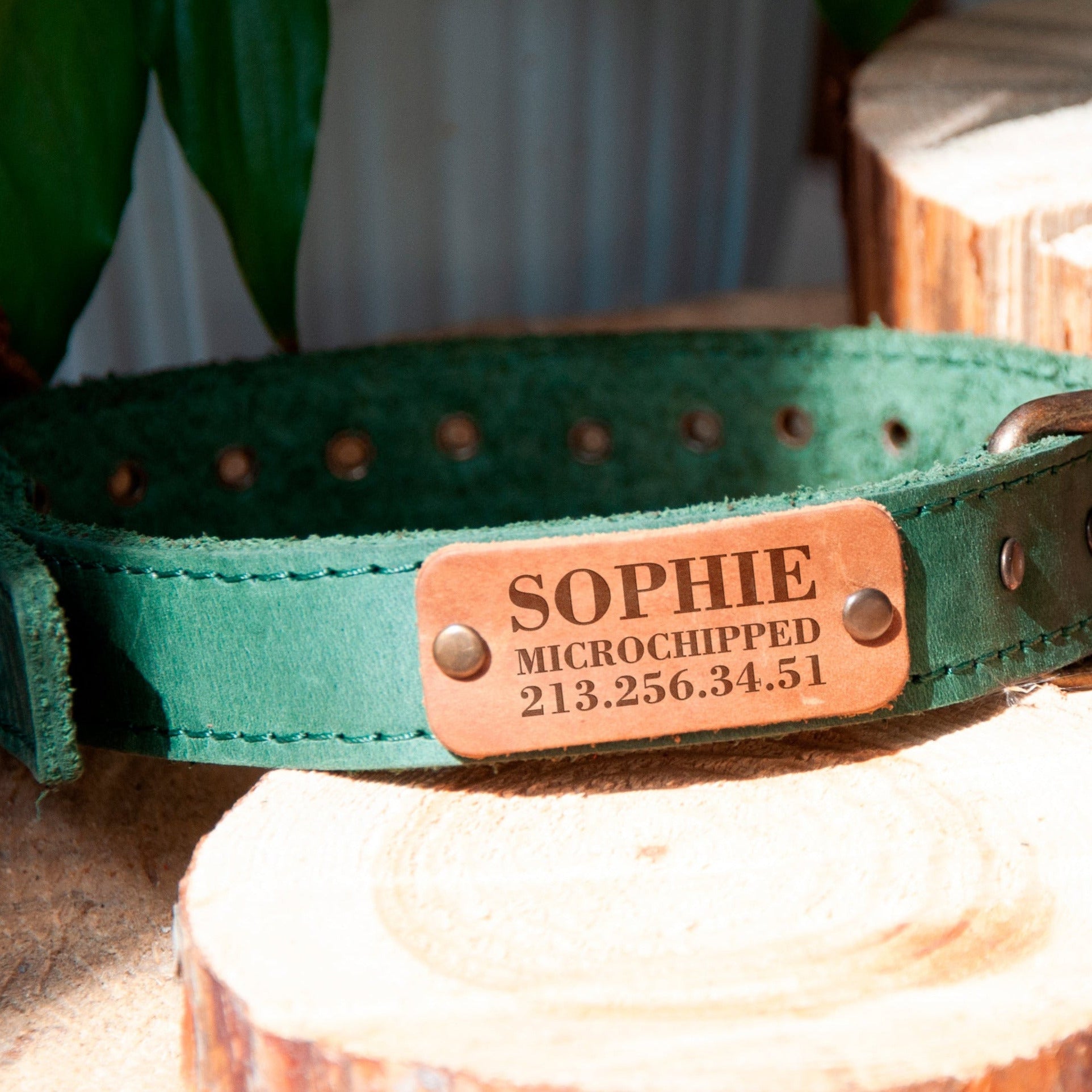 Custom Dog Collars - Leather Puppy Collar