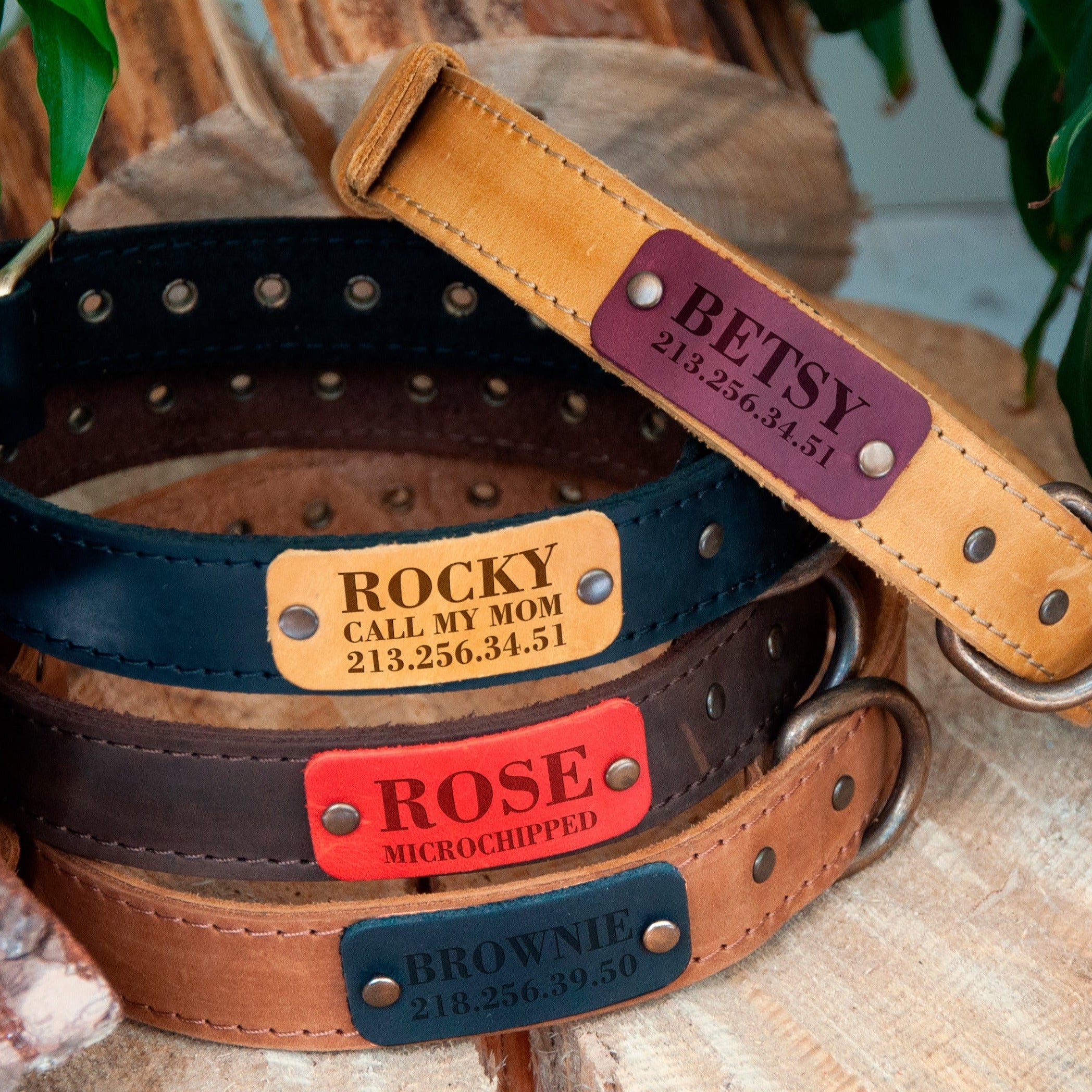 Personalized Leather Dog Collar with Name Plate
