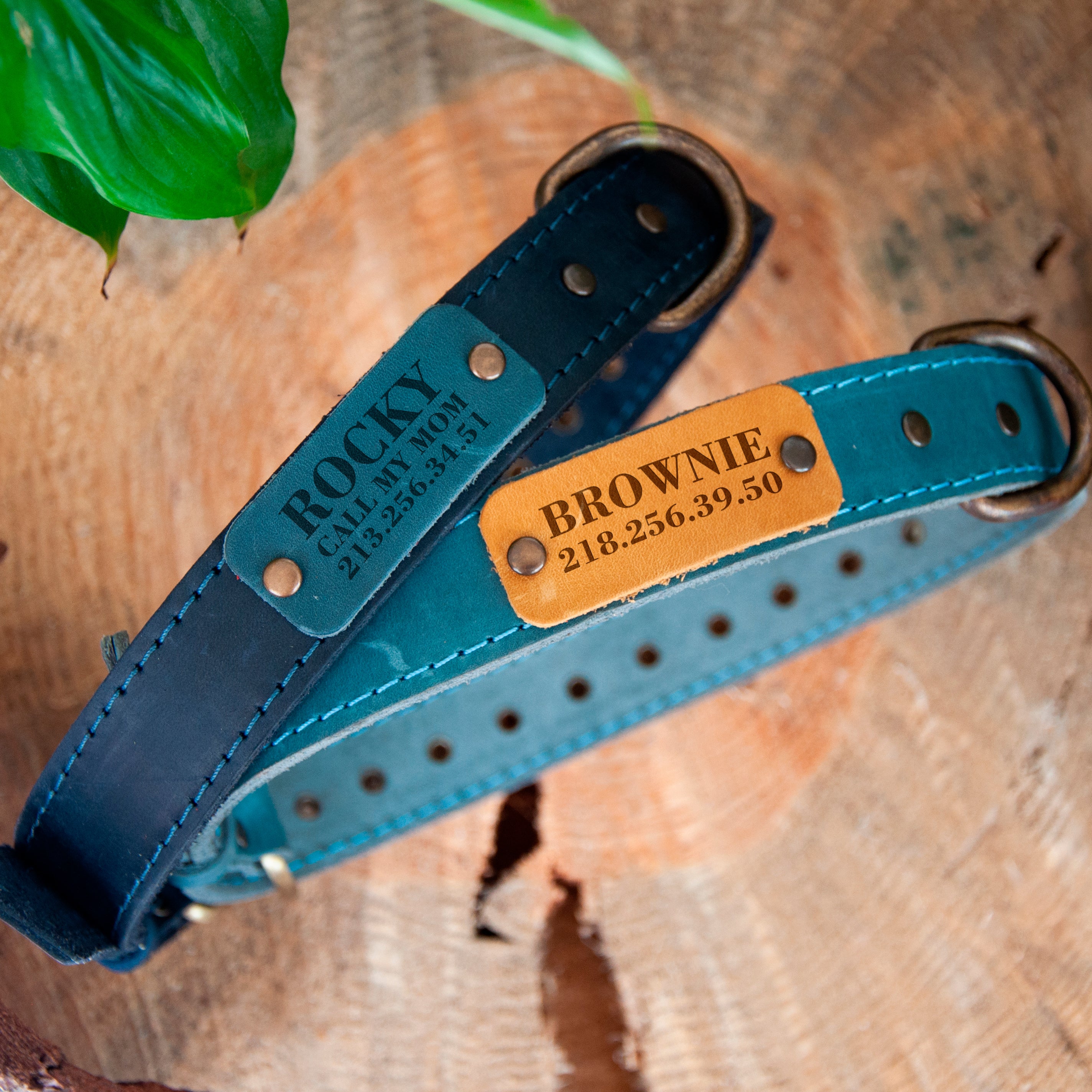 Leather Pet Collar with Name Engraving
