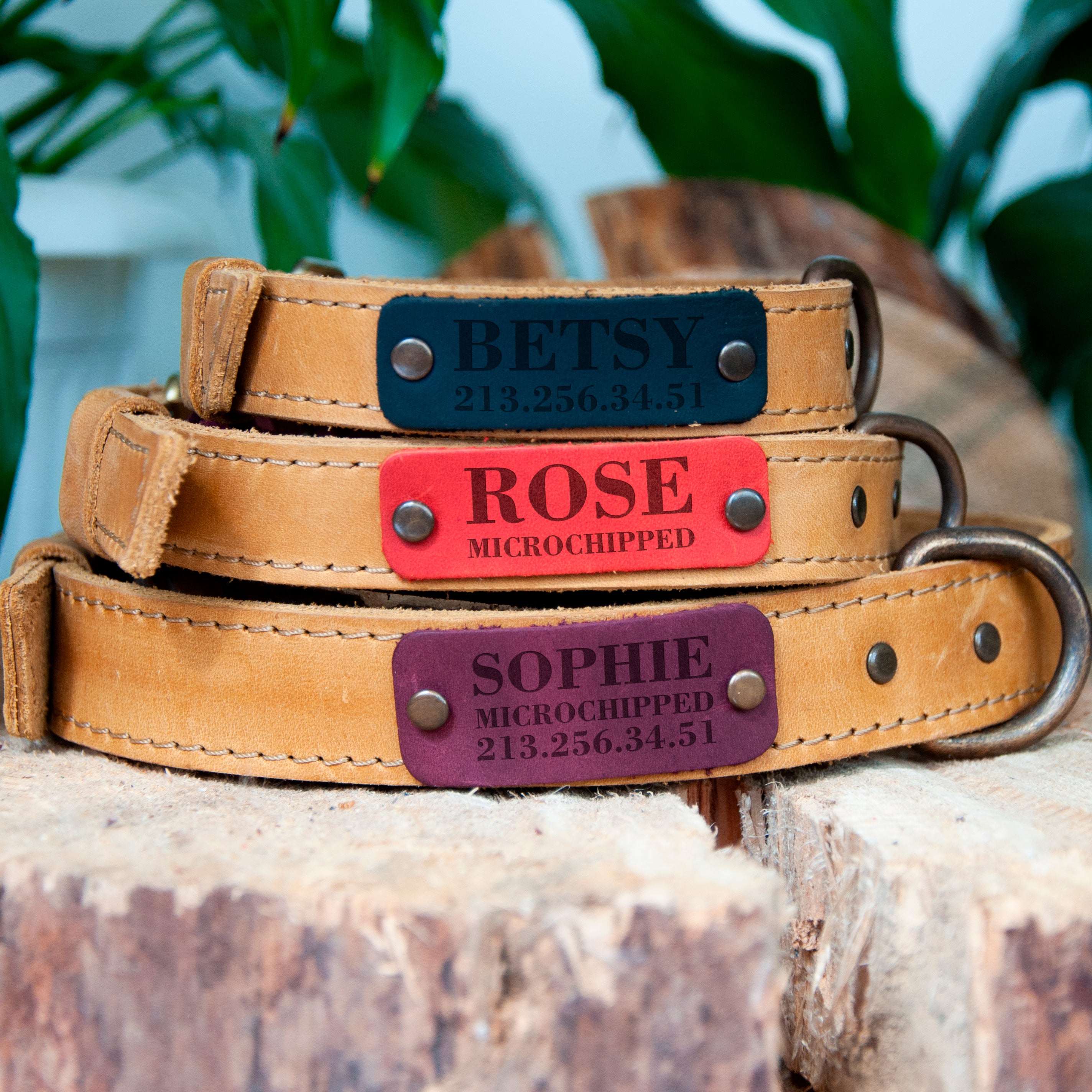 Leather Pet Collar with Name Engraving