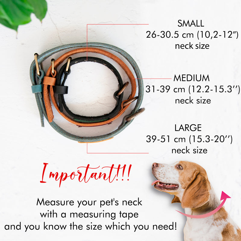 Custom Dog Collars - Leather Puppy Collar