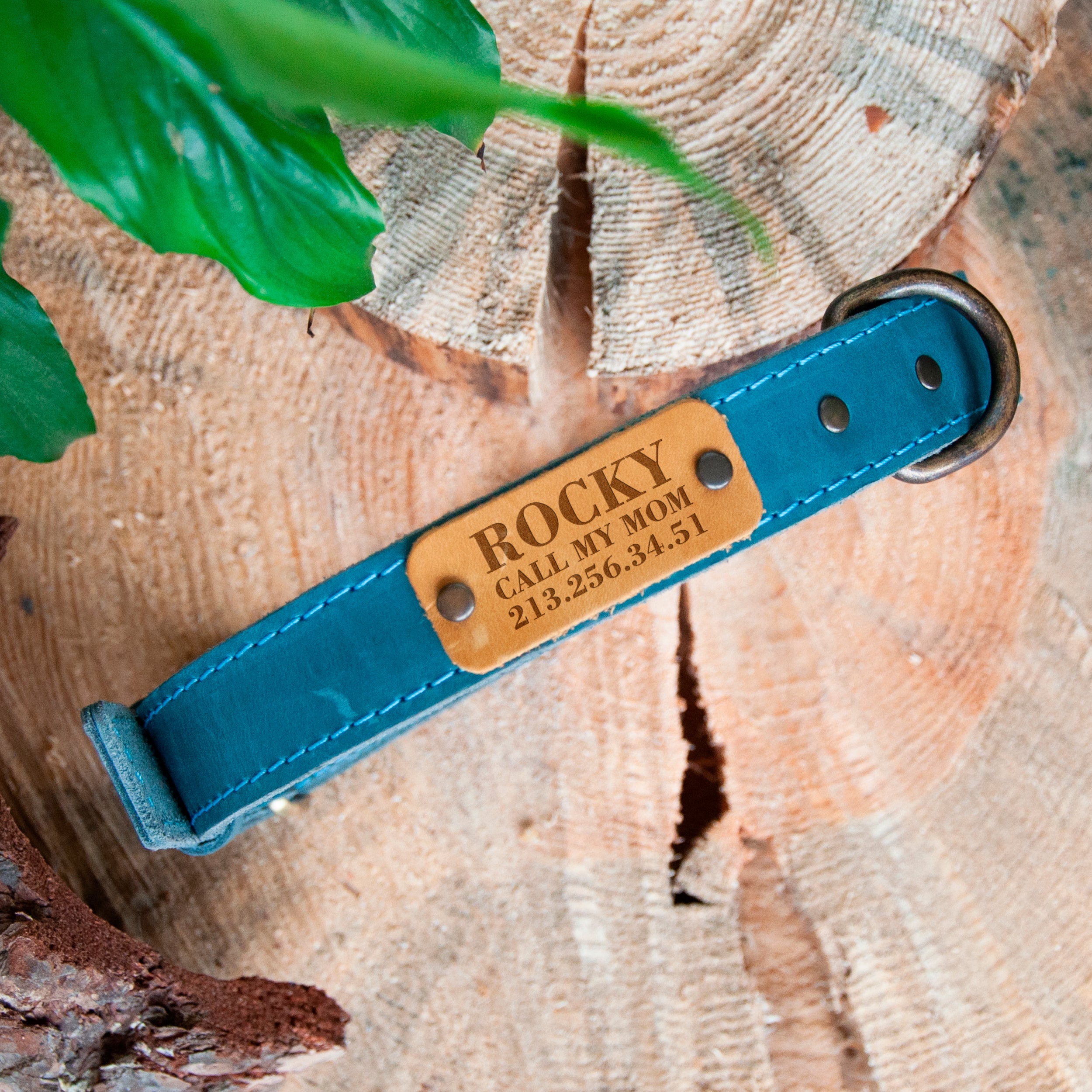 Personalized Leather Dog Collar with Name Plate