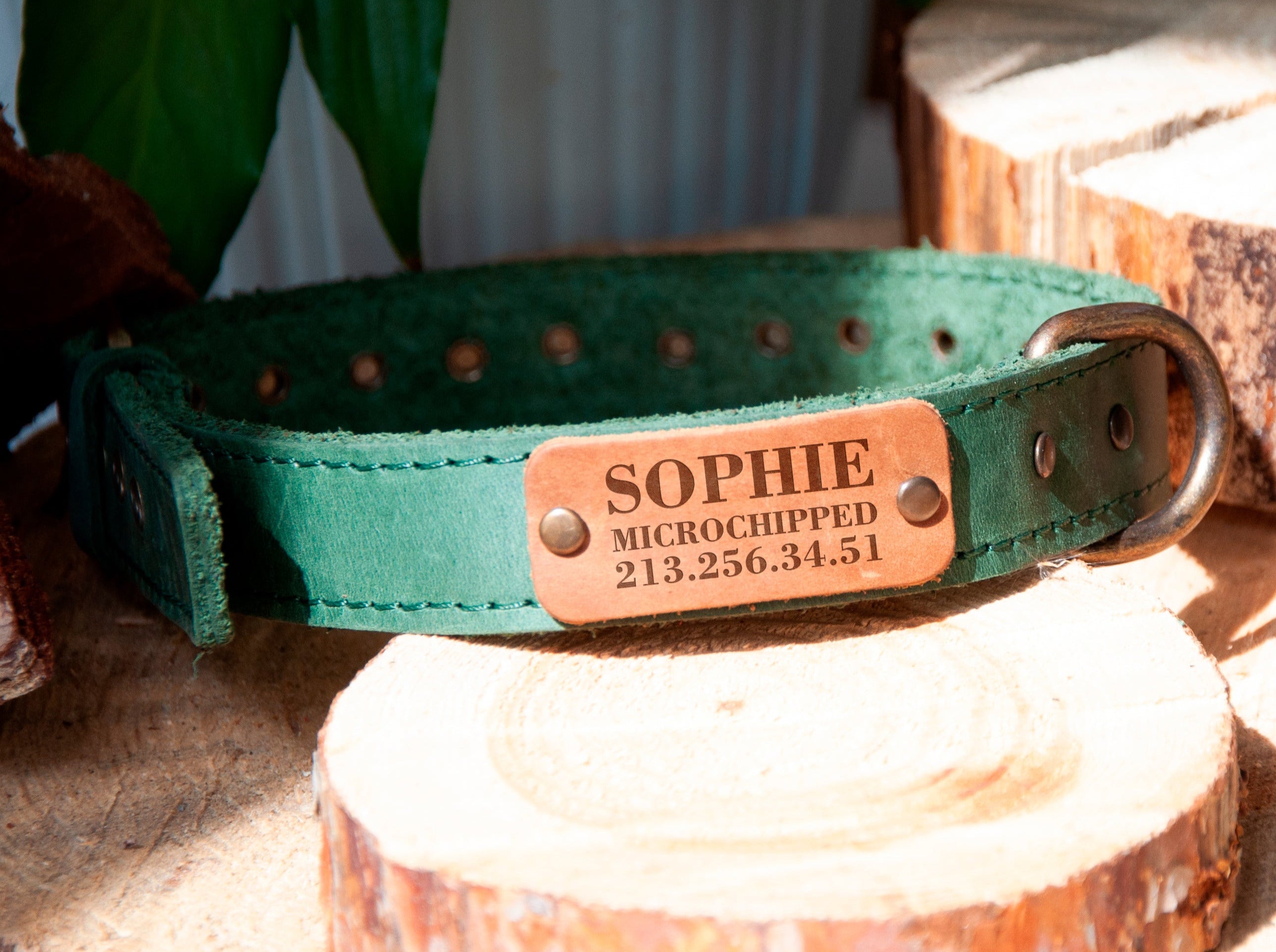 Custom Dog Collars - Leather Puppy Collar