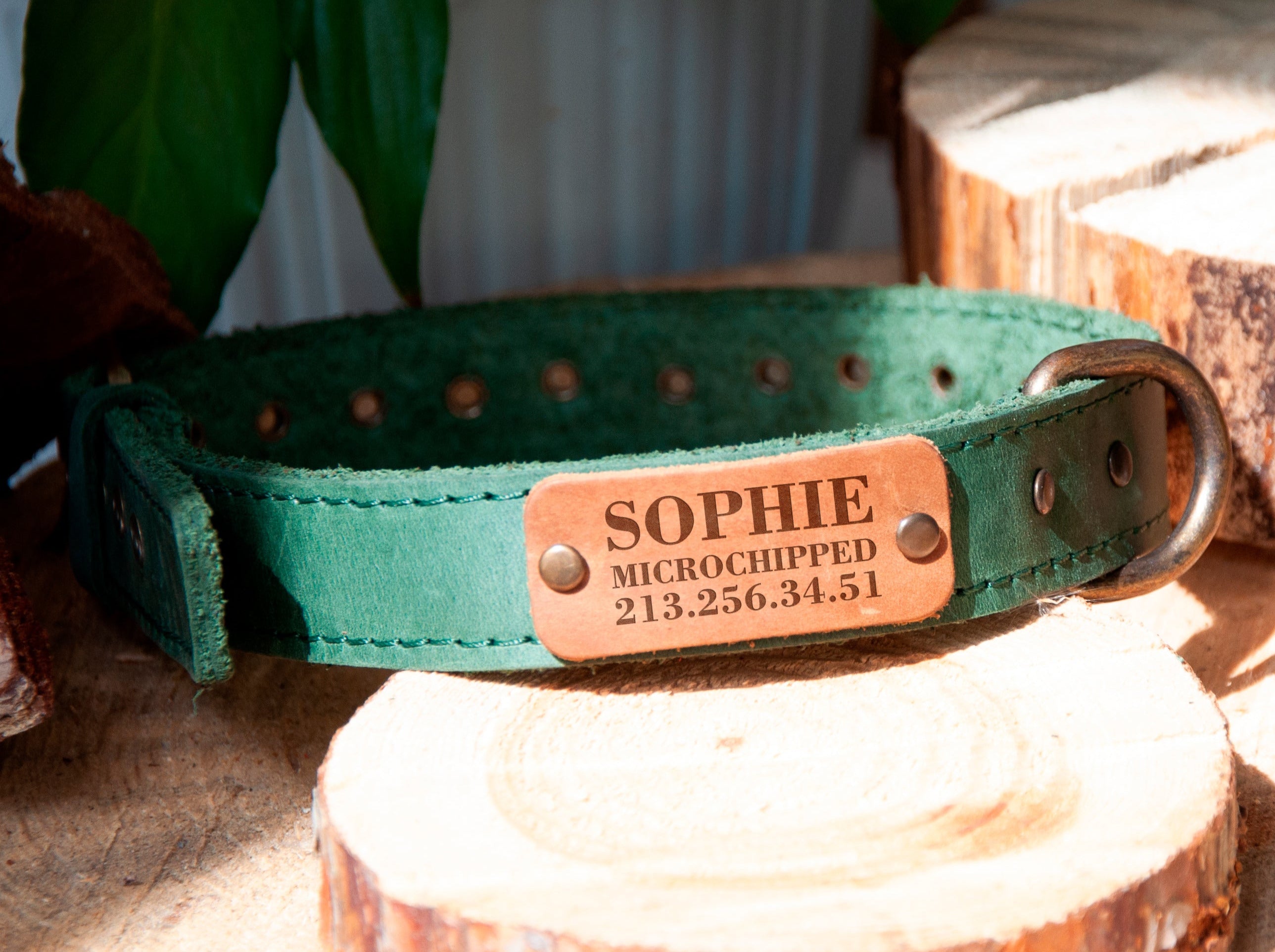 Custom Dog Collars - Leather Puppy Collar