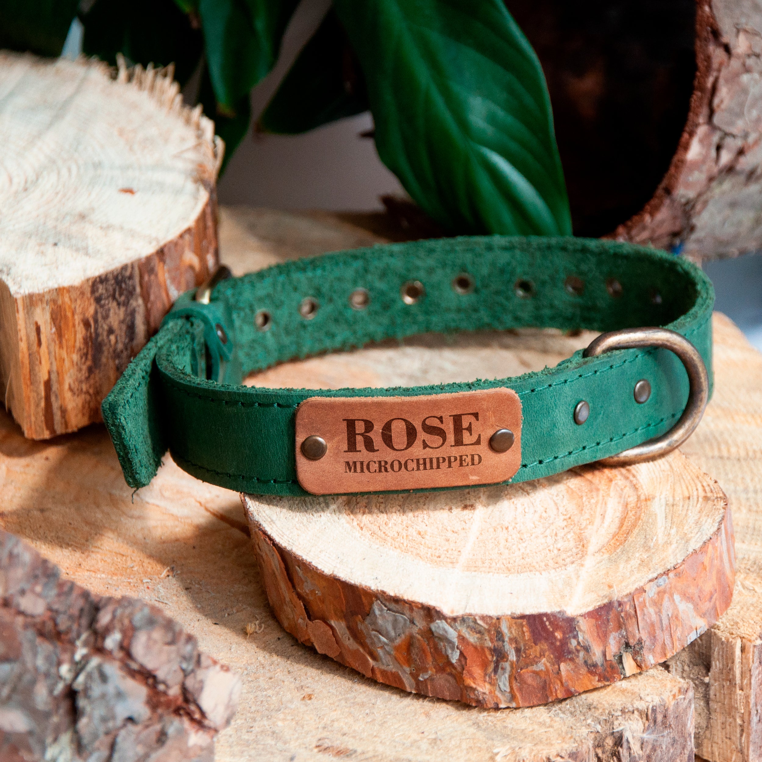 Custom Dog Collars - Leather Puppy Collar