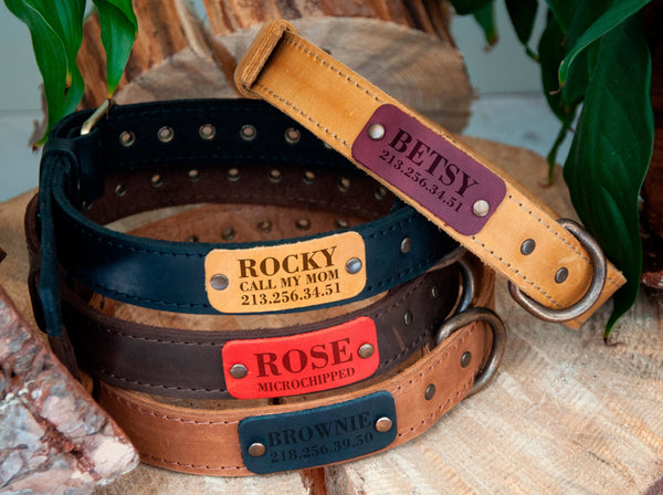 Personalized Leather Dog Collar with Name Plate