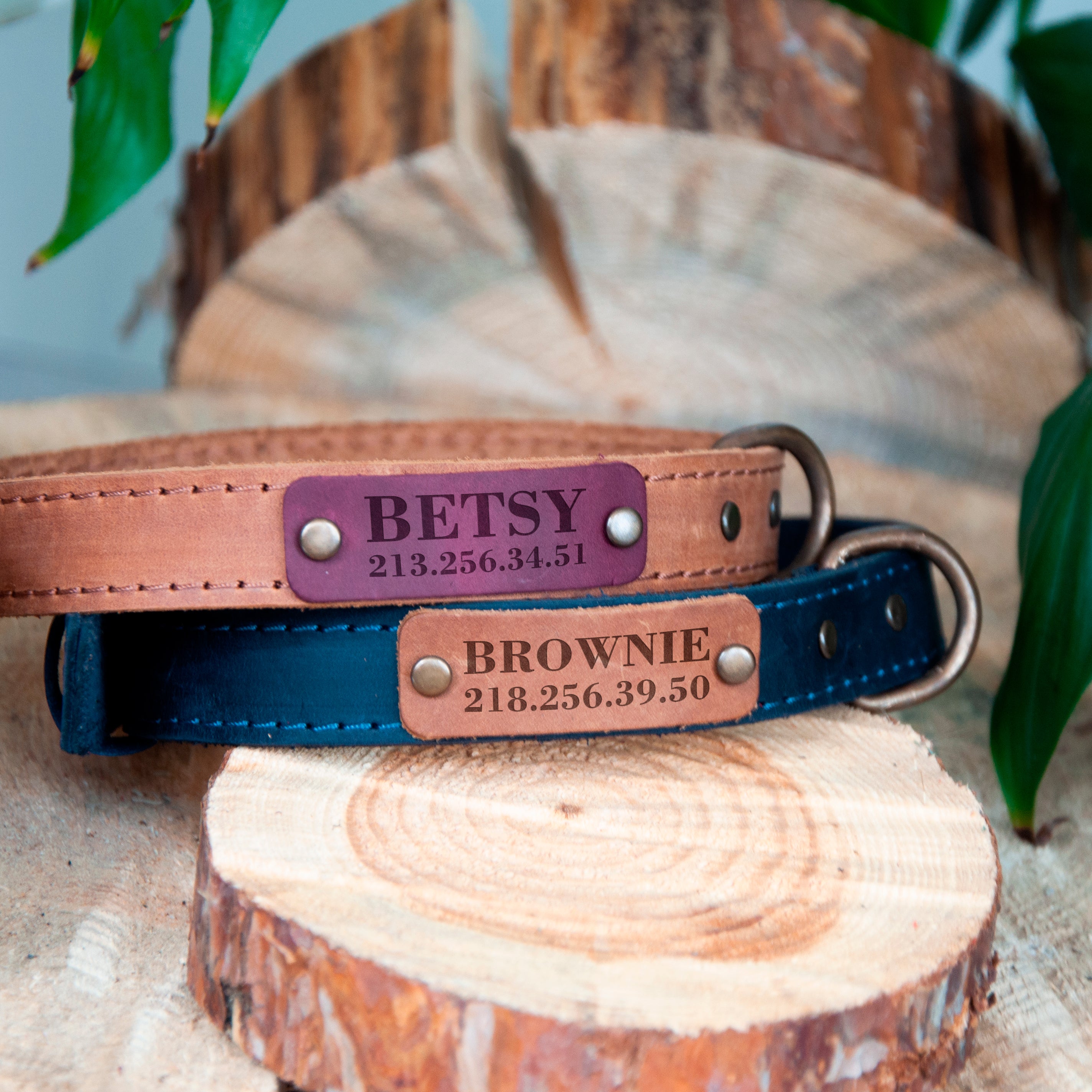 Custom Dog Collars - Leather Puppy Collar