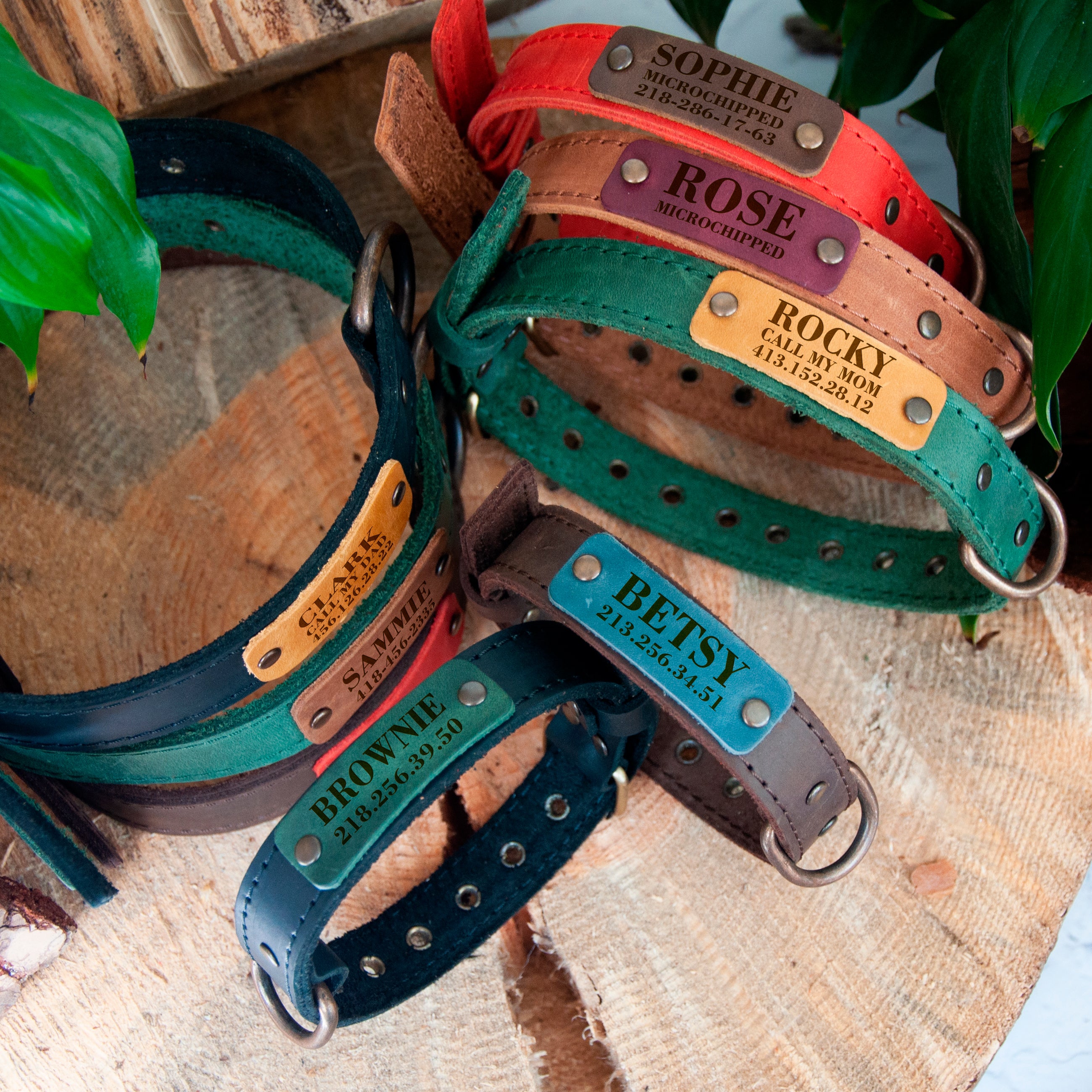 Custom Dog Collars - Leather Puppy Collar