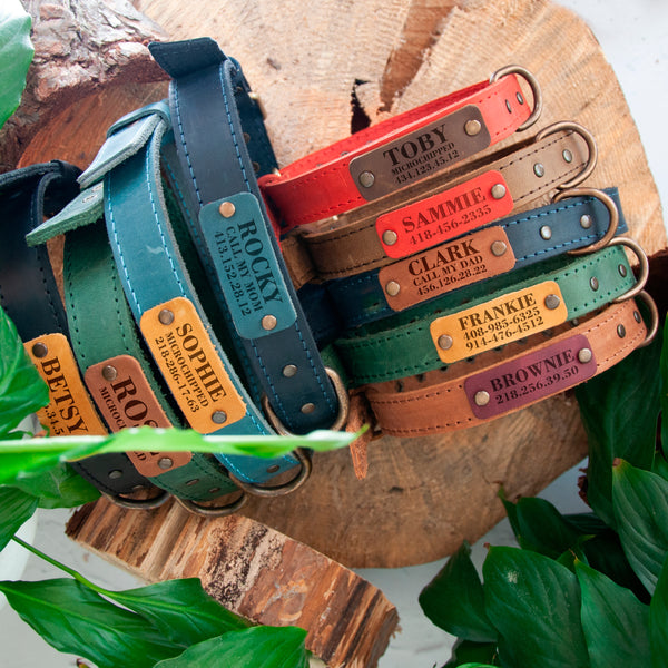 Leather Pet Collar  with Name Engraving