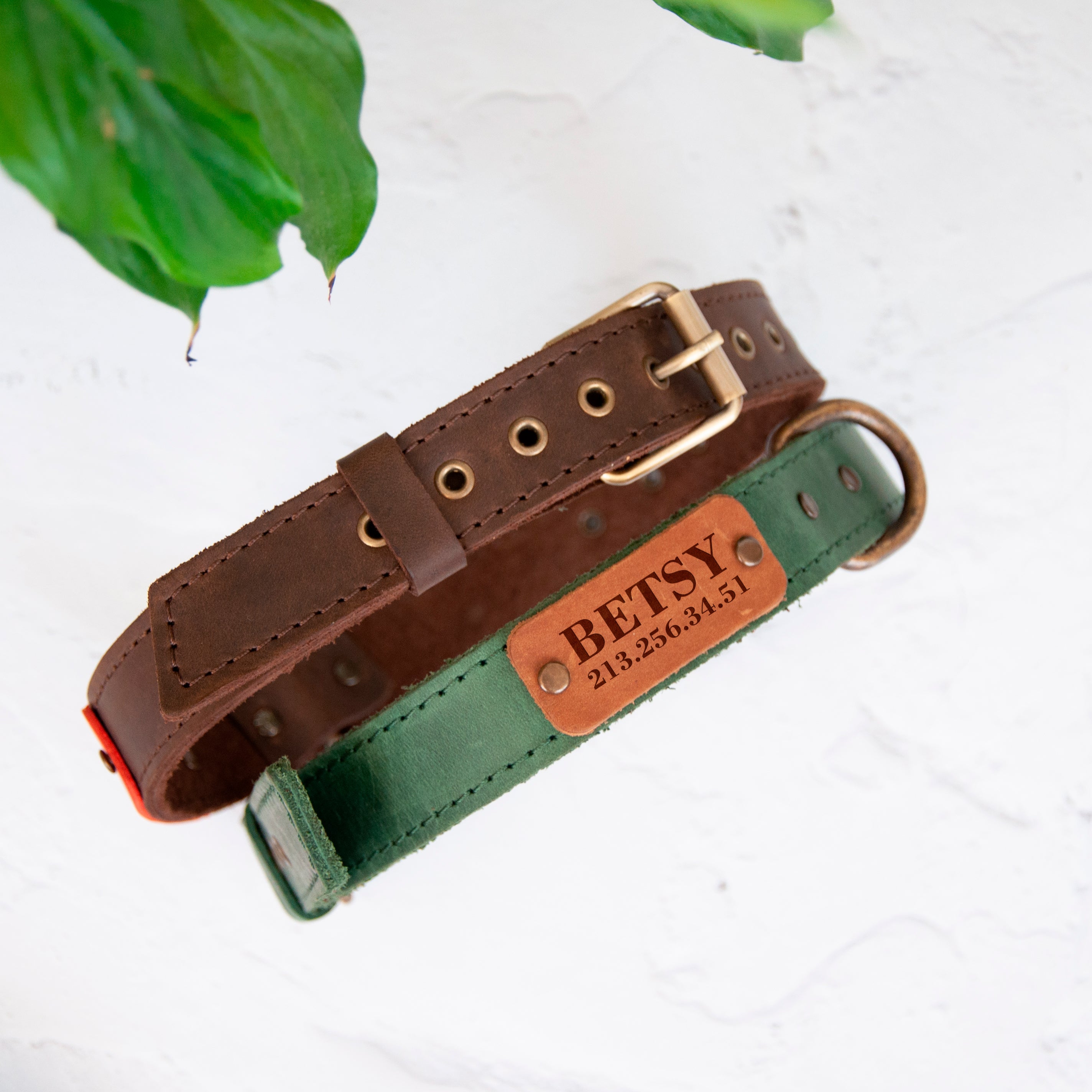 Personalized Leather Dog Collar with Name Plate